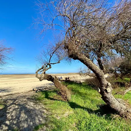 别墅 Azareal Climatisee 1ere Ligne Bassin D'arcachon 居让梅斯特拉