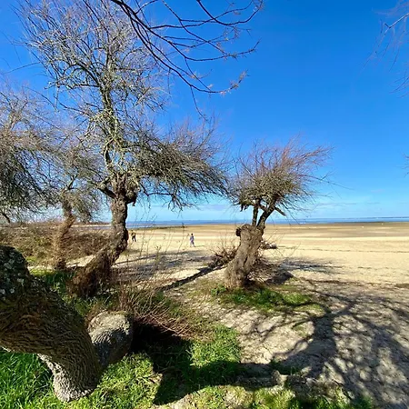 别墅 Azareal Climatisee 1ere Ligne Bassin D'arcachon 居让梅斯特拉